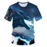 Winter is Coming T-Shirt